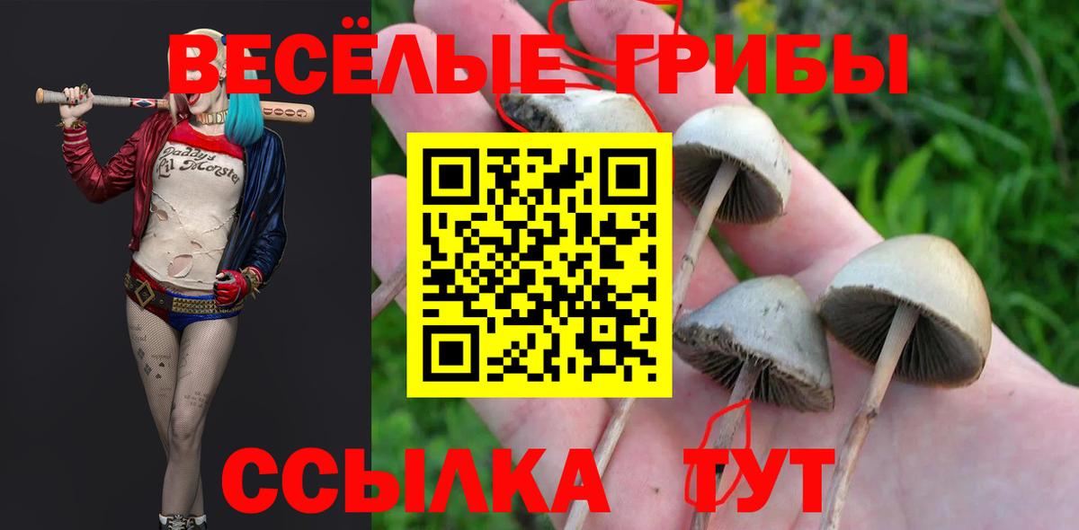 Галлюциногенные грибы MAGIC MUSHROOMS  Вход с VPN  Новоалтайск 
